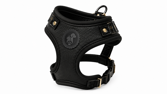 Luxury No-Pull Leather Dog Harness Vest