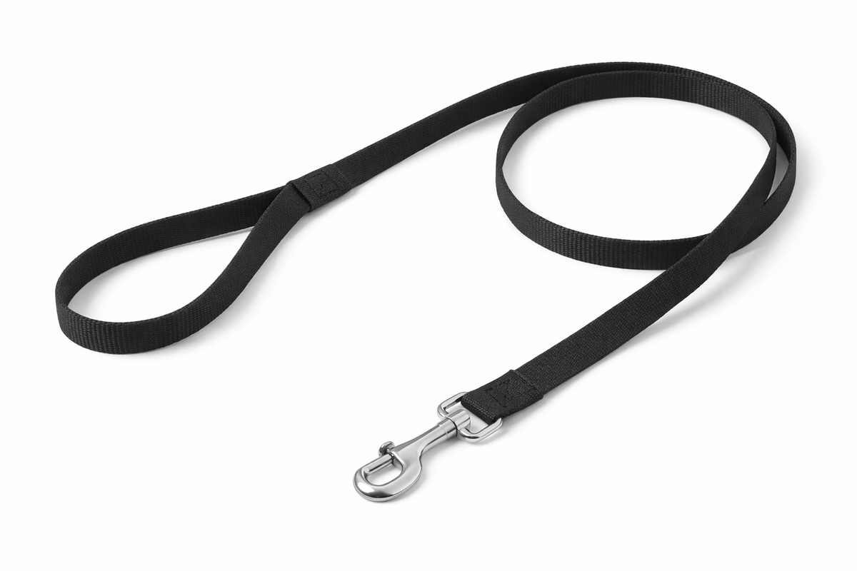 Durable Nylon Dog Leash – Strong Metal Clip & Comfortable Handle
