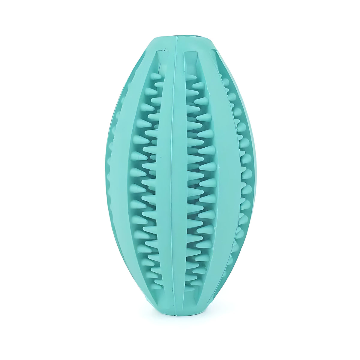 Rugby Ball Dog Chew Toy with Massage Bristles
