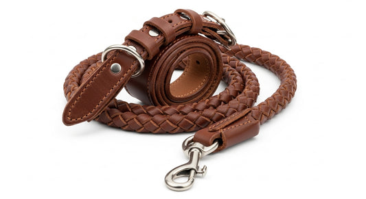 Braided Leather Dog Collar and Leash Set for Medium & Large Dogs