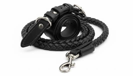 Braided Leather Dog Collar and Leash Set for Medium & Large Dogs