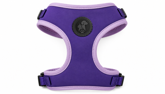 No-Pull Purple Dog Harness Vest – Breathable & Padded