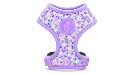 Adjustable Floral Dog Harness Vest – Breathable Comfort