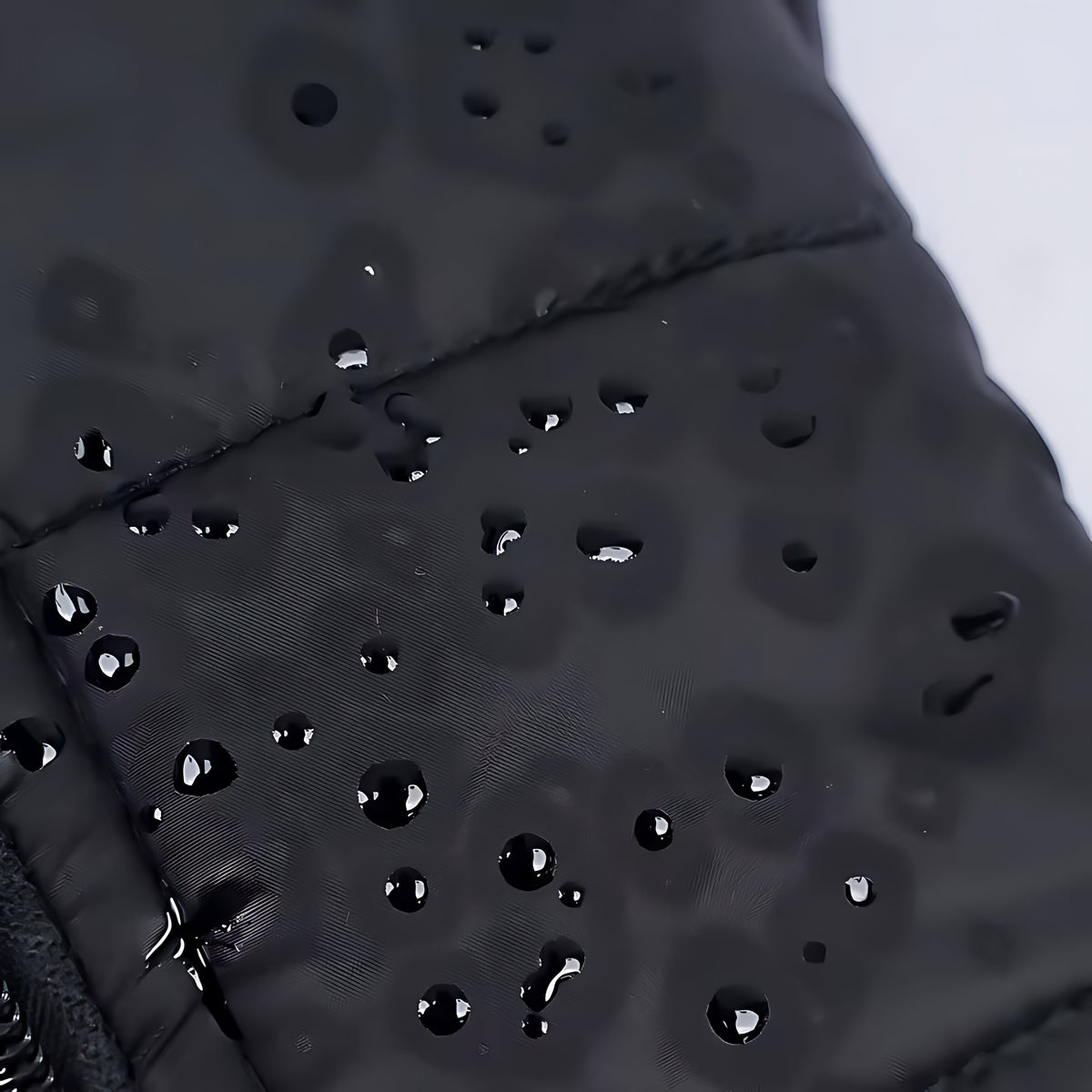 Waterproof Winter Dog Jacket – Padded Zipper Coat